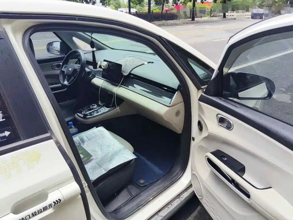BYD D1 2021 2021 Pioneer Edition