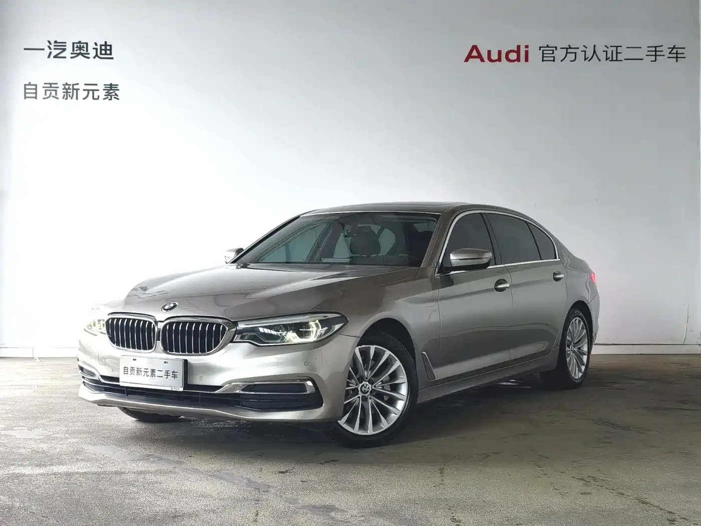 BMW BMW 5 Series 2020 530Li Leading Luxury Package