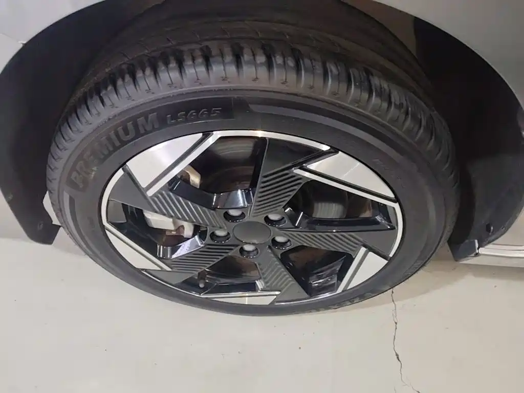 BAIC Beijing EU5 PLUS 2024 2023 R500 Premium Edition