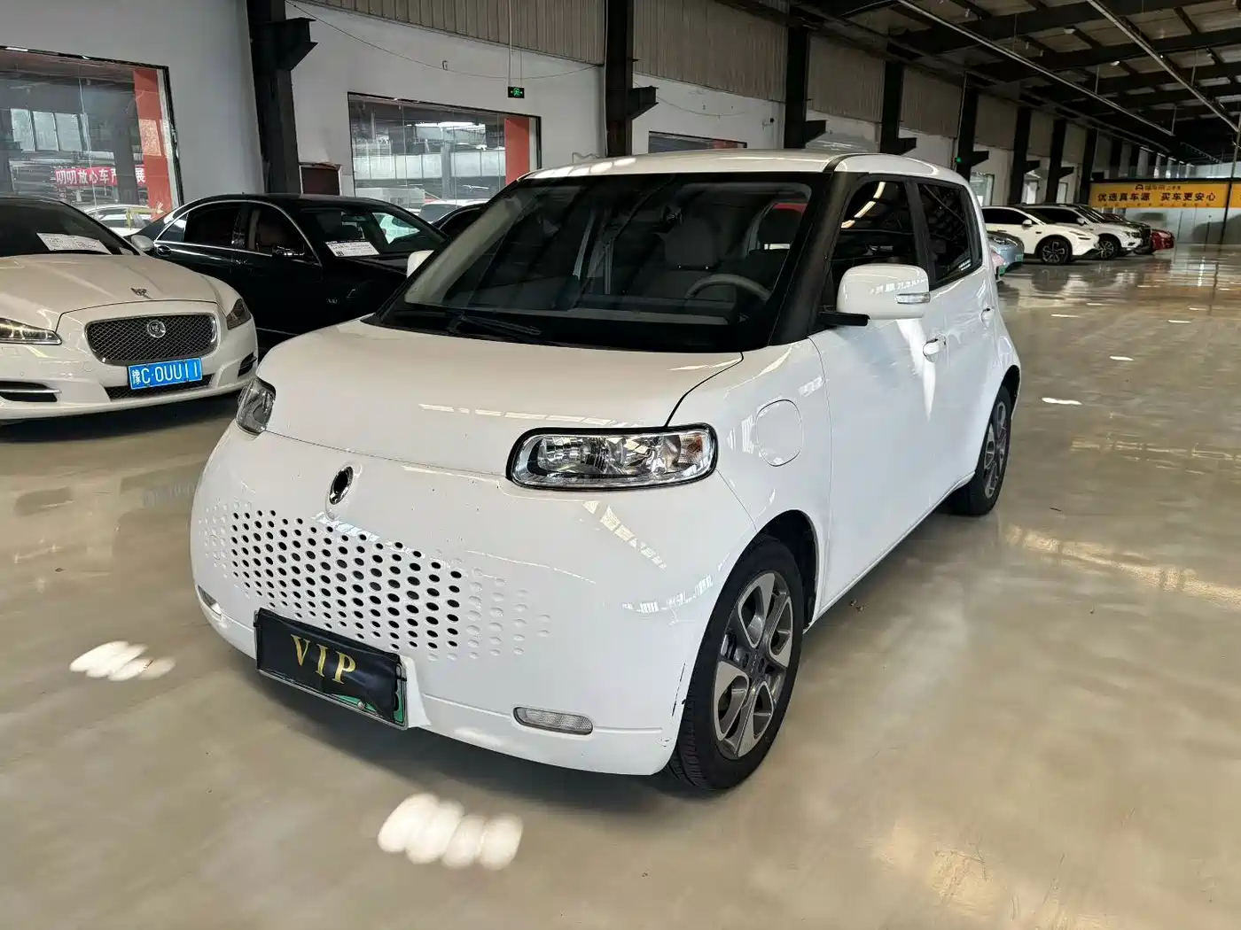 Ora White Cat 2021 2020 305km Luxury