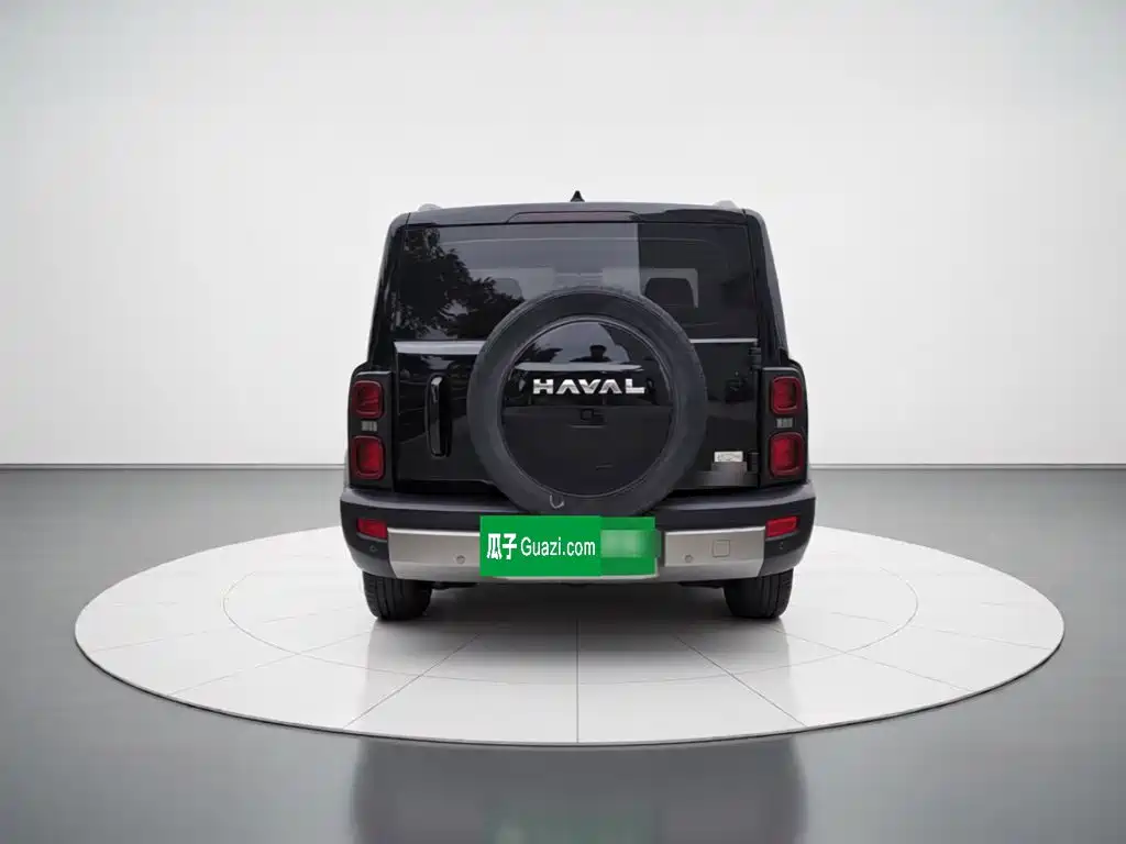 Фото 3 - Haval Raptor