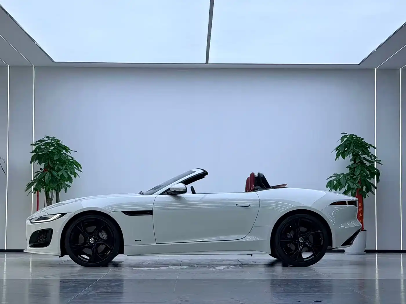Jaguar F-TYPE 2024 2024 P300 75th Anniversary Collector's Convertible Edition