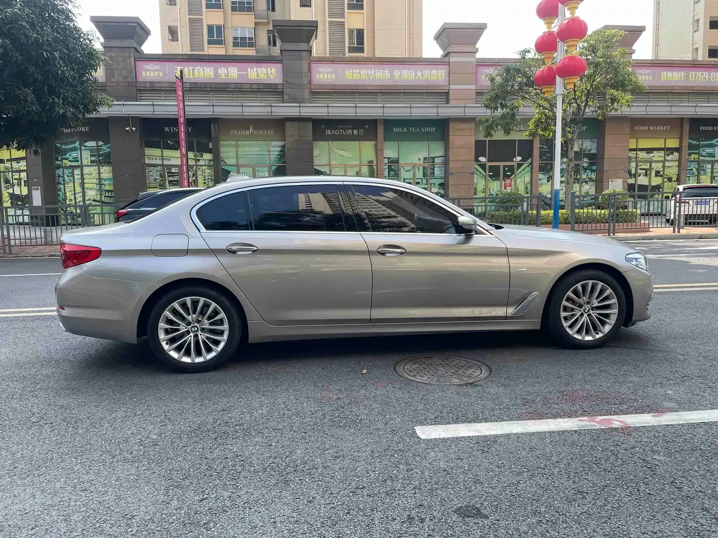 BMW 5 Series 2018 530Li Leading Luxury Package фото 5