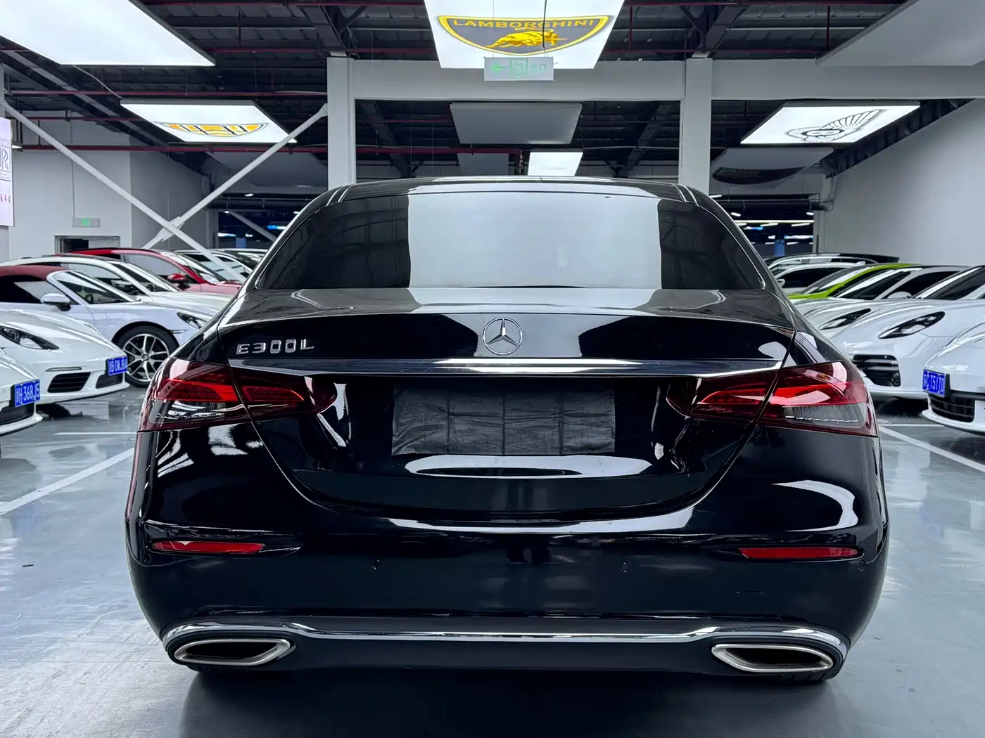 Mercedes-Benz E-Class 2020 E 300 L Fashion фото 17