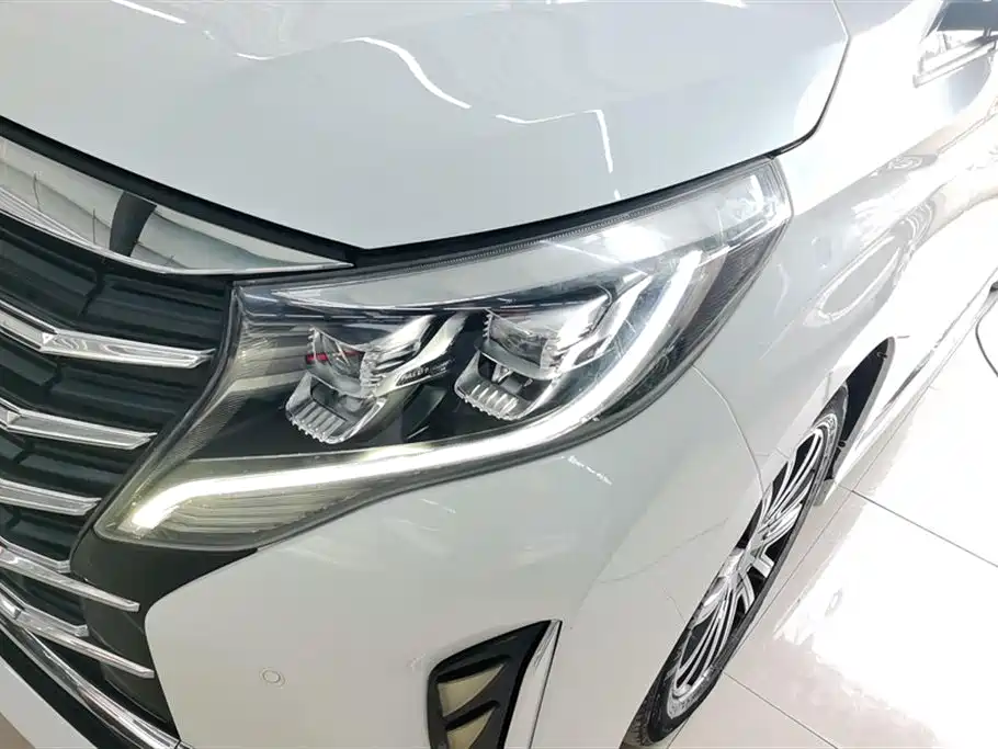 GAC Trumpchi Trumpchi M8 2021 Leading Show Series 390T Prestige Edition фото 5