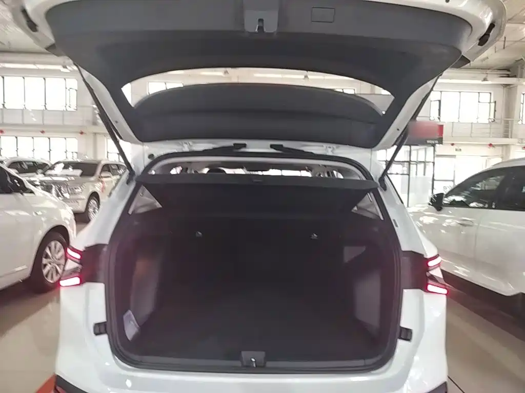 Фото 19 - Jetta VS8