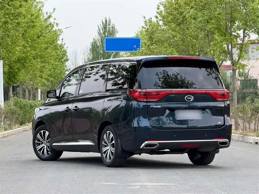 GAC Trumpchi Trumpchi M8 2018 320T Premium Edition фото 10