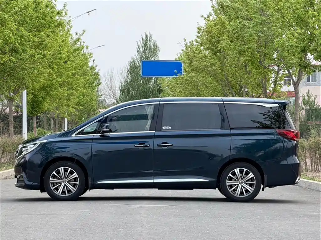 GAC Trumpchi Trumpchi M8 2018 320T Premium Edition фото 8