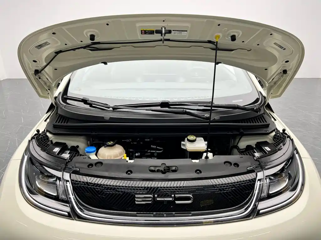 BYD Dolphin 2022 2021 Model 405km Fashion Edition