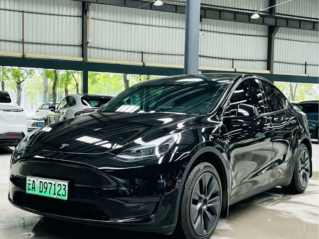 Tesla Model Y 2022 Rear-Wheel Drive Version