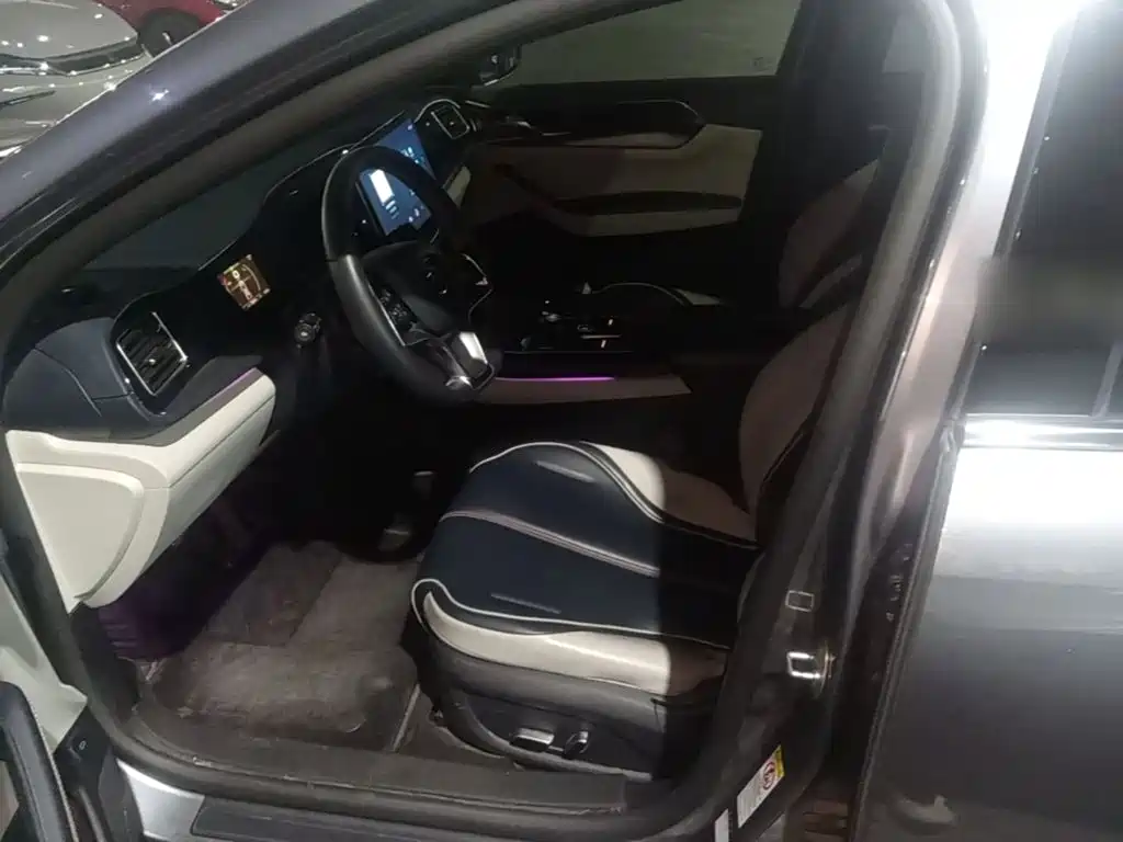 BYD Qin PLUS 2021 2021 EV 500KM Premium Model