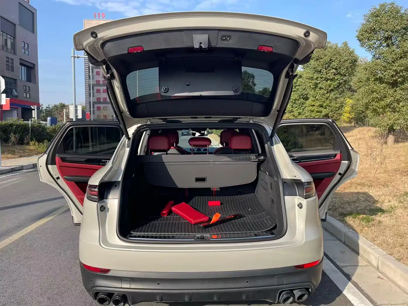 PORSCHE CAYENNE NEW ENERGY