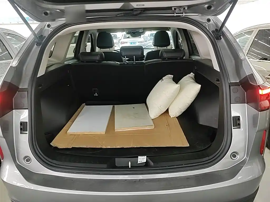 Haval H6 2024 Model 1.5T 2WD Classic Edition фото 19