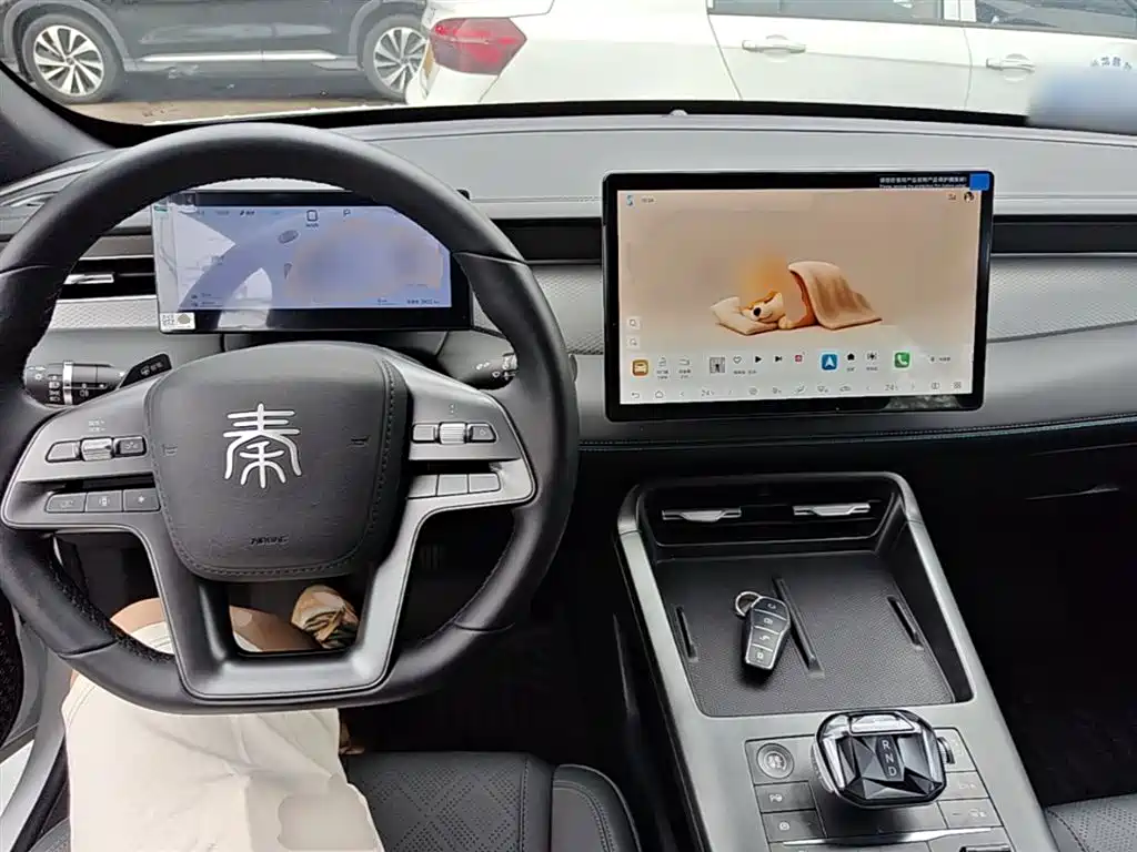BYD Qin PLUS 2025 DM-i Smart Drive Edition 55KM Surpassing Type фото 10