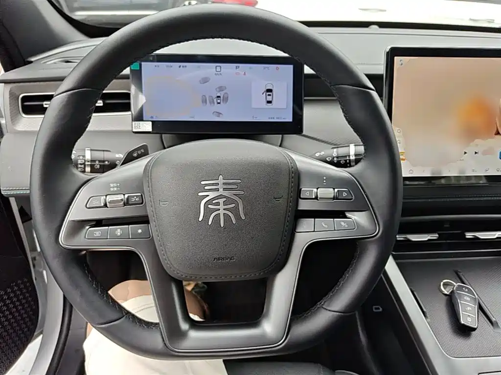 BYD Qin PLUS 2025 DM-i Smart Drive Edition 55KM Surpassing Type фото 11