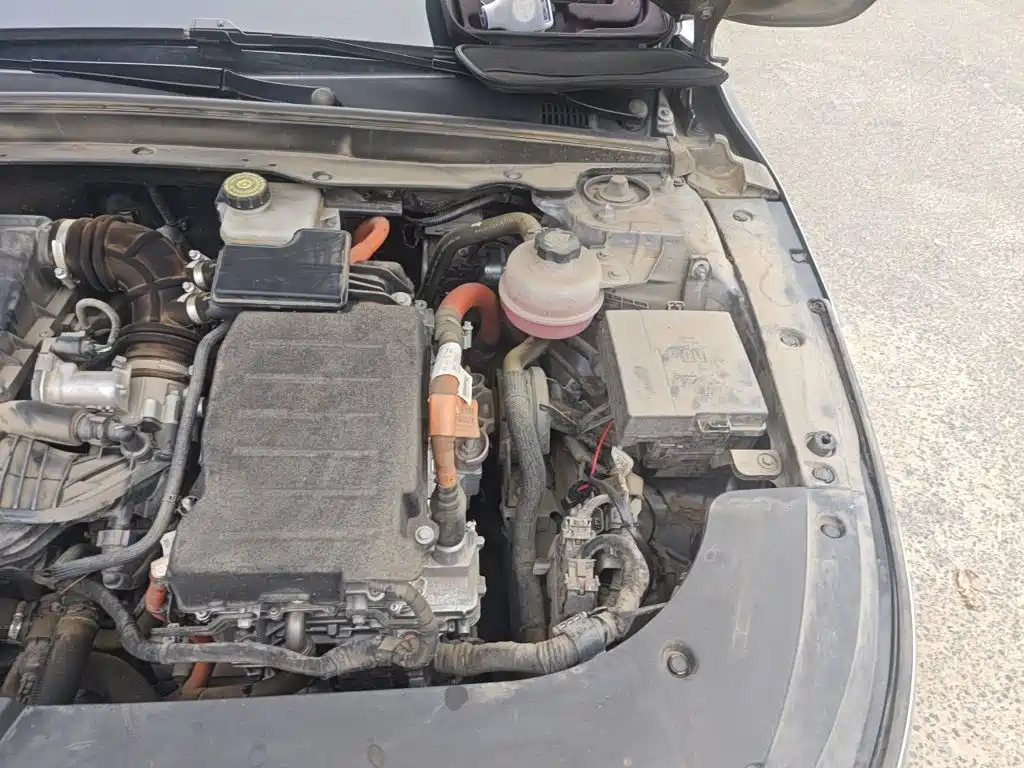 BYD Destroyer 05 2023 2022 DM-i 55KM Premium