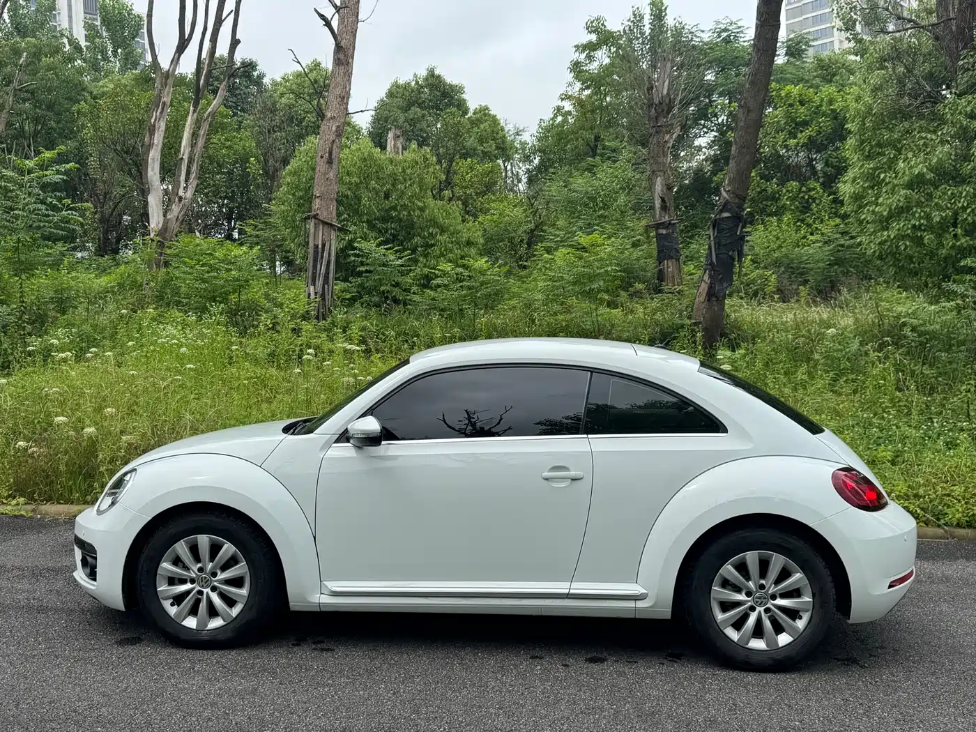 Volkswagen Beetle 2019 180TSI Collector's Edition фото 7