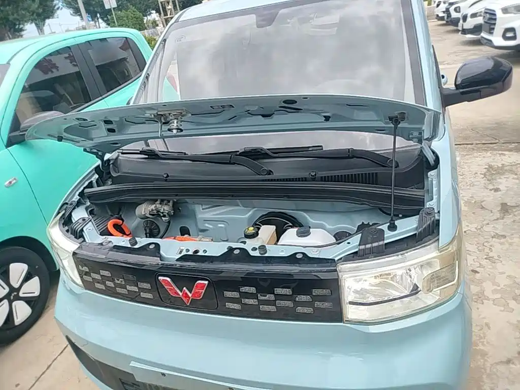 Фото 20 - Wuling Motors Hongguang MINIEV