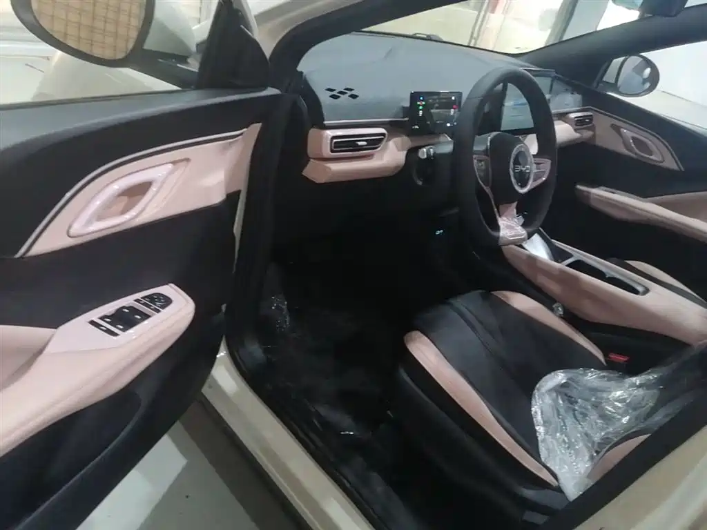 BYD Seagull 2025 Smart Drive Edition 305km Vitality Version фото 16