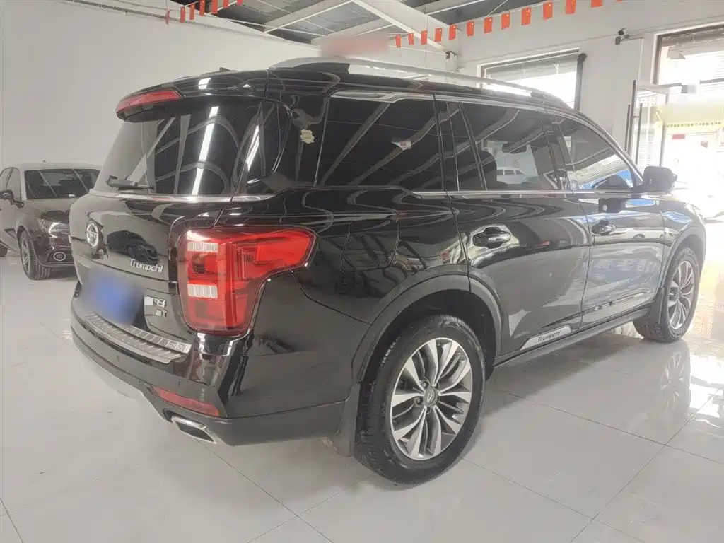 GAC Trumpchi Trumpchi GS8 2017 320T 2WD Luxury Smart Connect (7-seater) фото 5