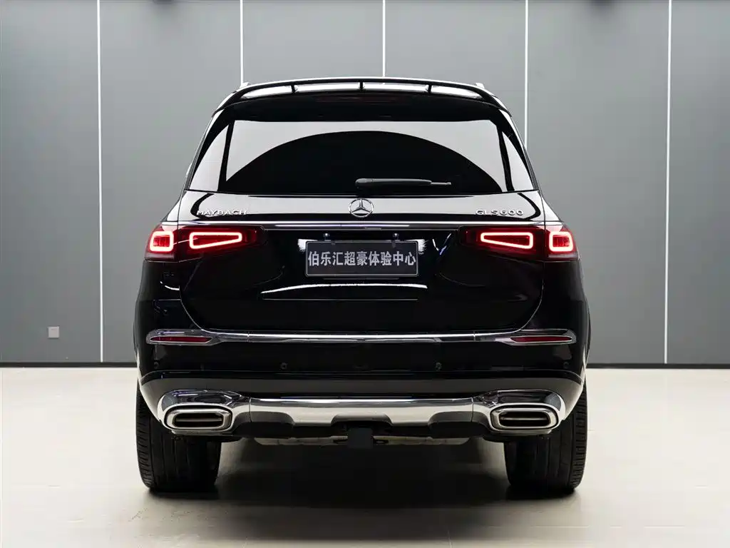 Mercedes-Benz GLS 2024 Model GLS 450 4MATIC Luxury фото 6