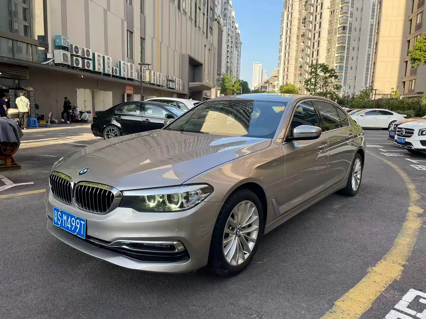 BMW 5 Series 2019 530Li Leading Luxury Package