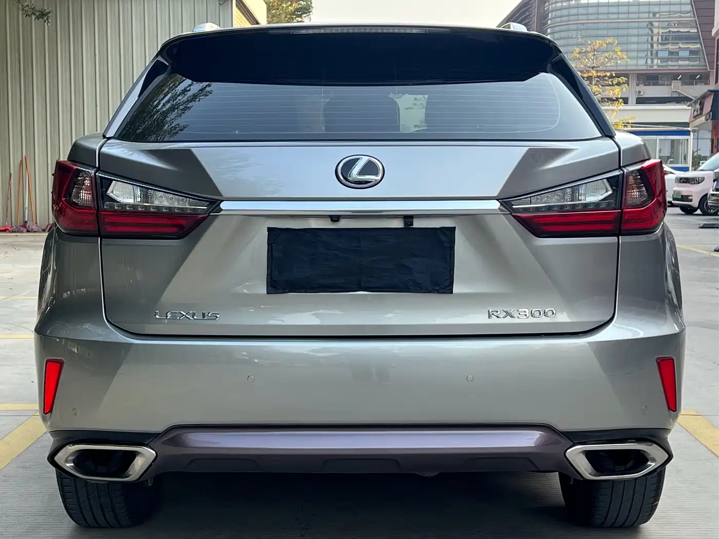 Lexus RX 2016 300 2WD Elite Edition (China V) фото 4