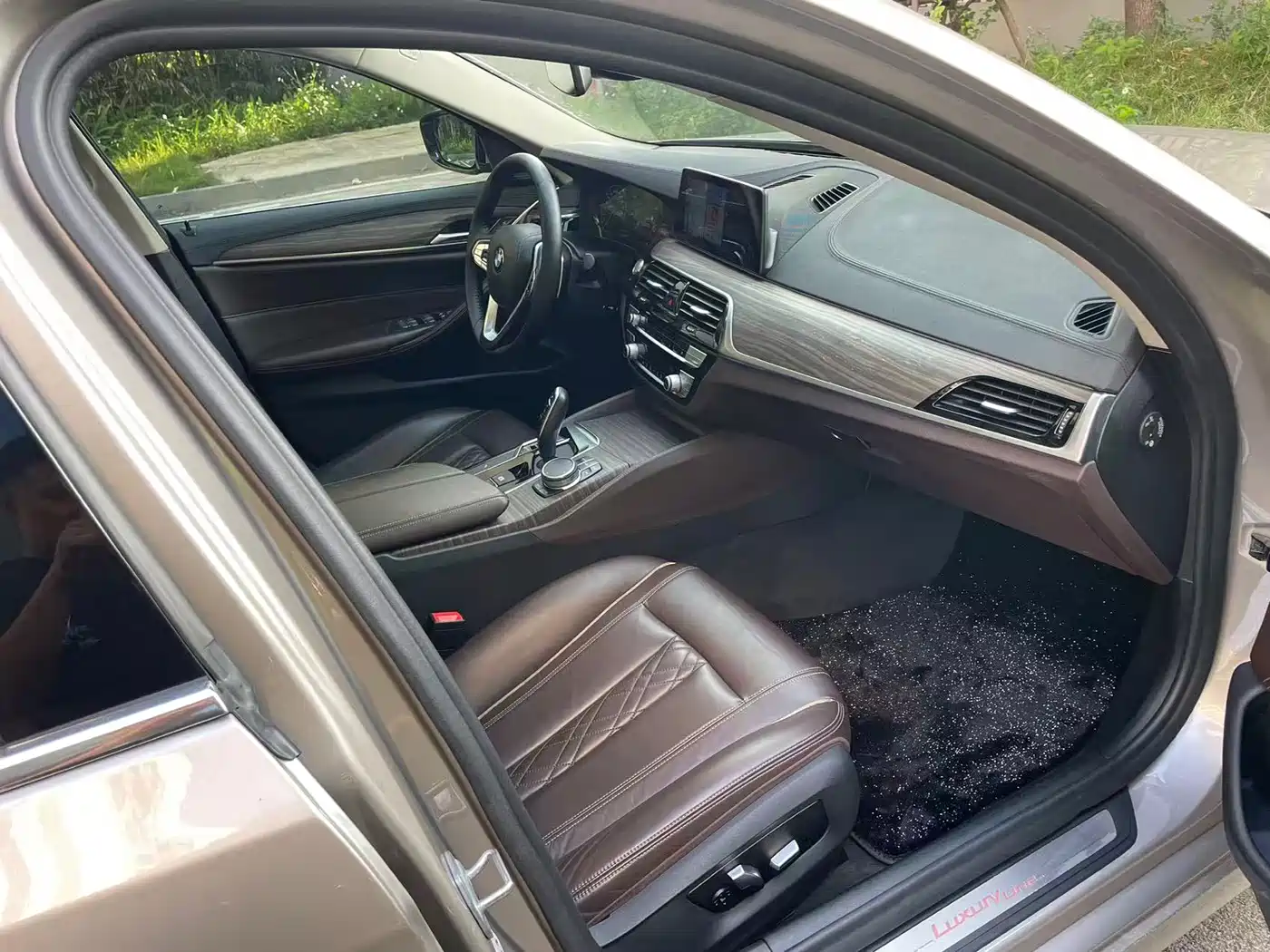 BMW 5 Series 2019 530Li Leading Luxury Package фото 6