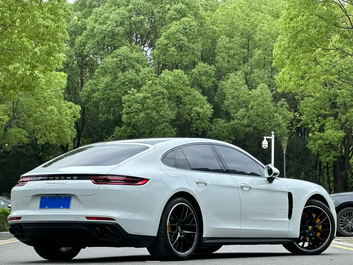 Porsche Panamera 2020 Panamera 10th Anniversary Edition 2.9T фото 14