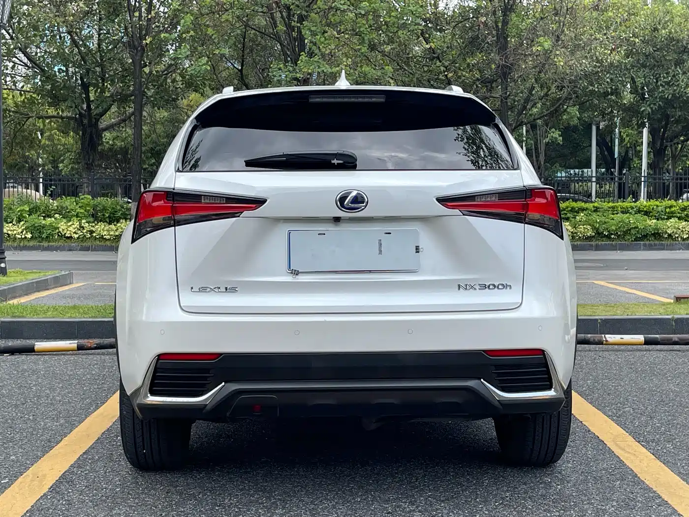 Lexus NX 2020 300h FWD F Sport China VI фото 5