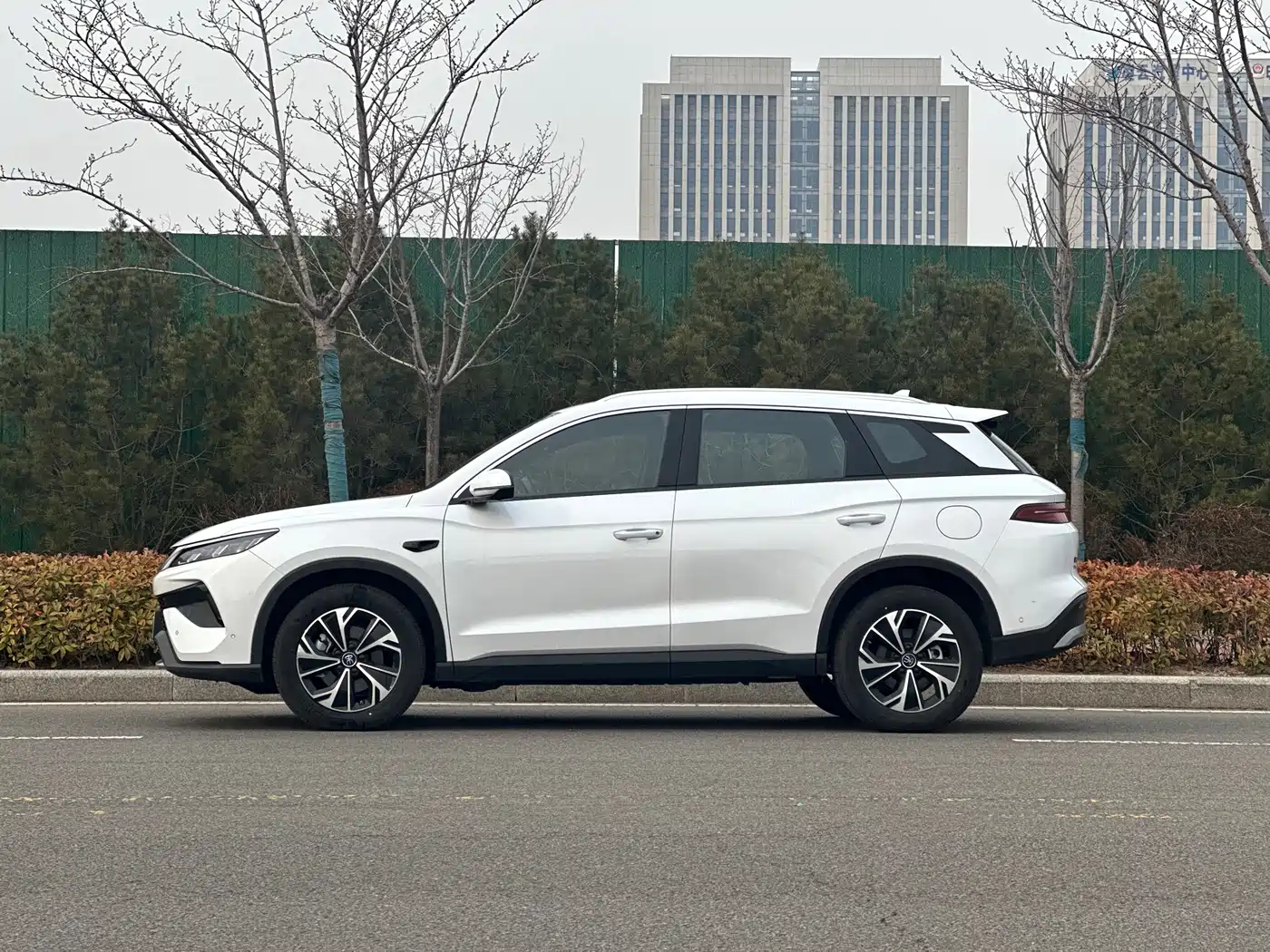 BYD SONGJIANG NEW ENERGY