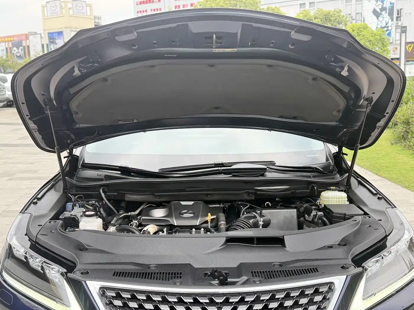 Lexus RX 2020 Facelift 300 AWD Elegance Edition фото 21