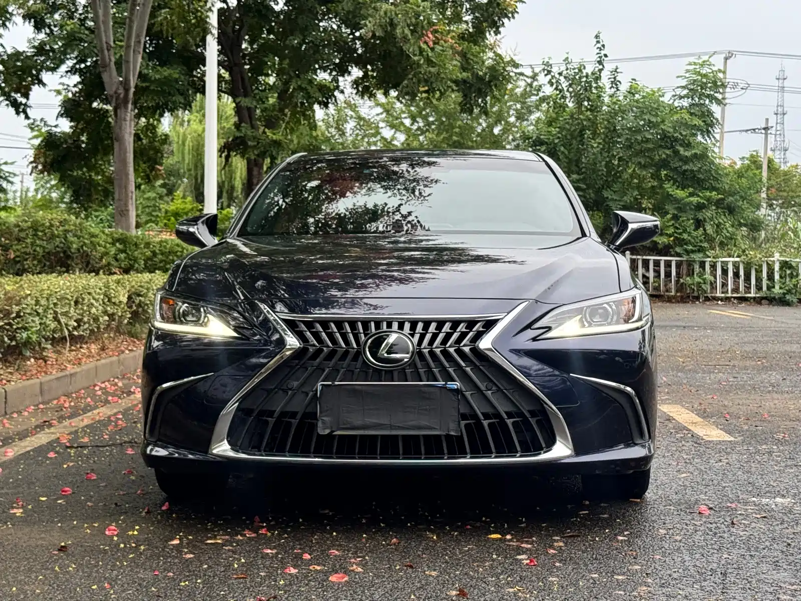 Фото 2 - Lexus ES