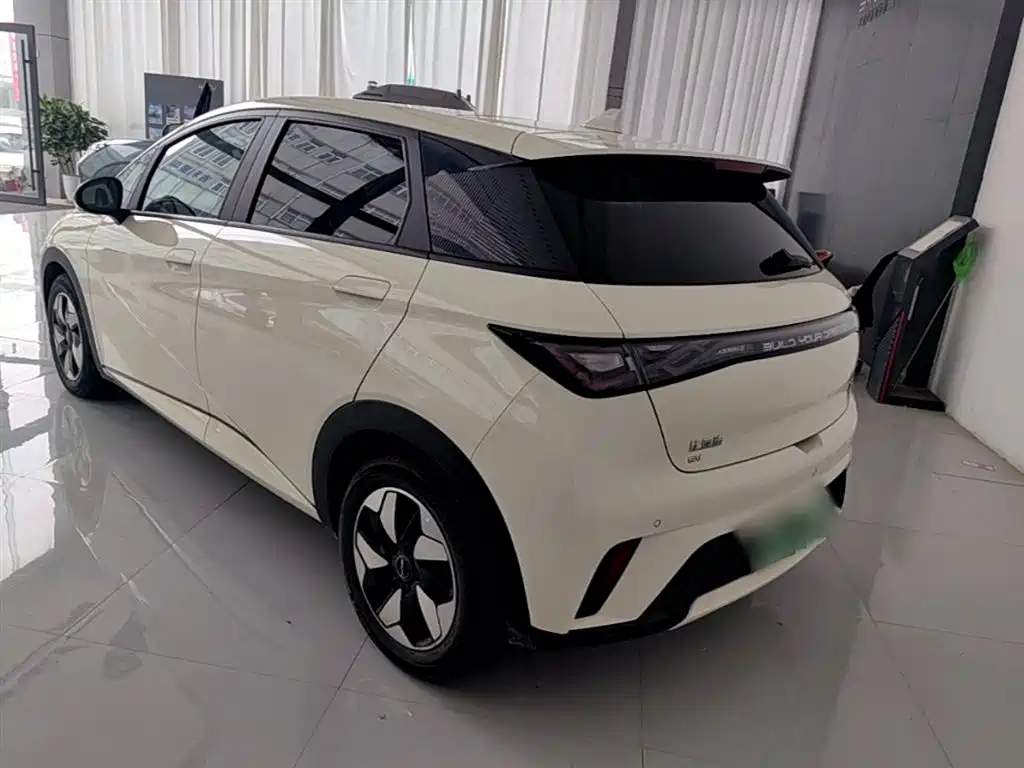 BYD Dolphin 2024 Glory Edition 420km Fashion Edition фото 5