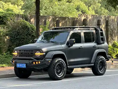 Tank 300