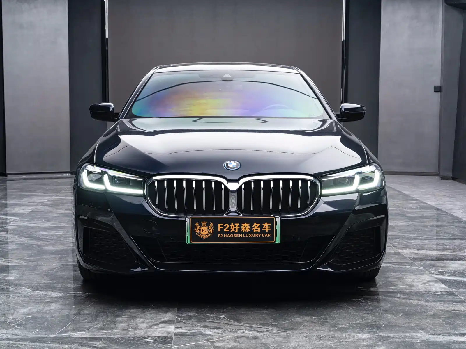 Фото 6 - BMW 5 Series New Energy
