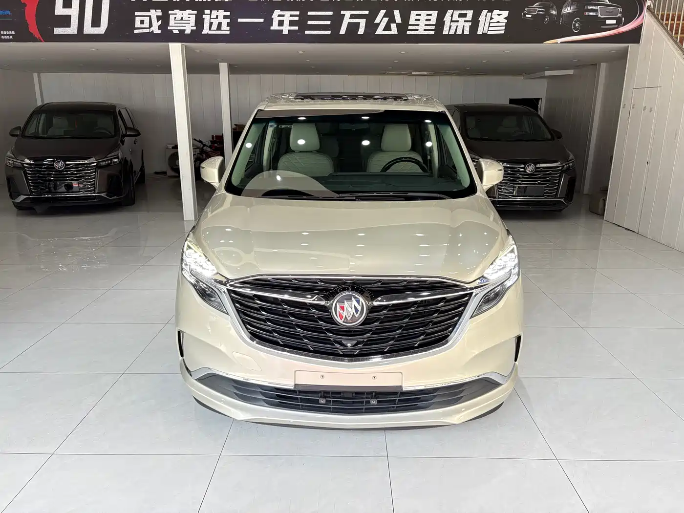 Buick GL8 2022 ES Landmark 653T Comfort фото 2