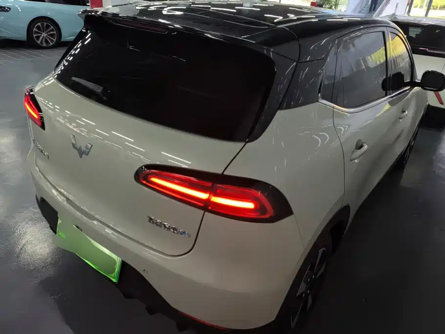 Wuling Motors Wuling Binguo PLUS 2026 2024 510km Range 5-seater