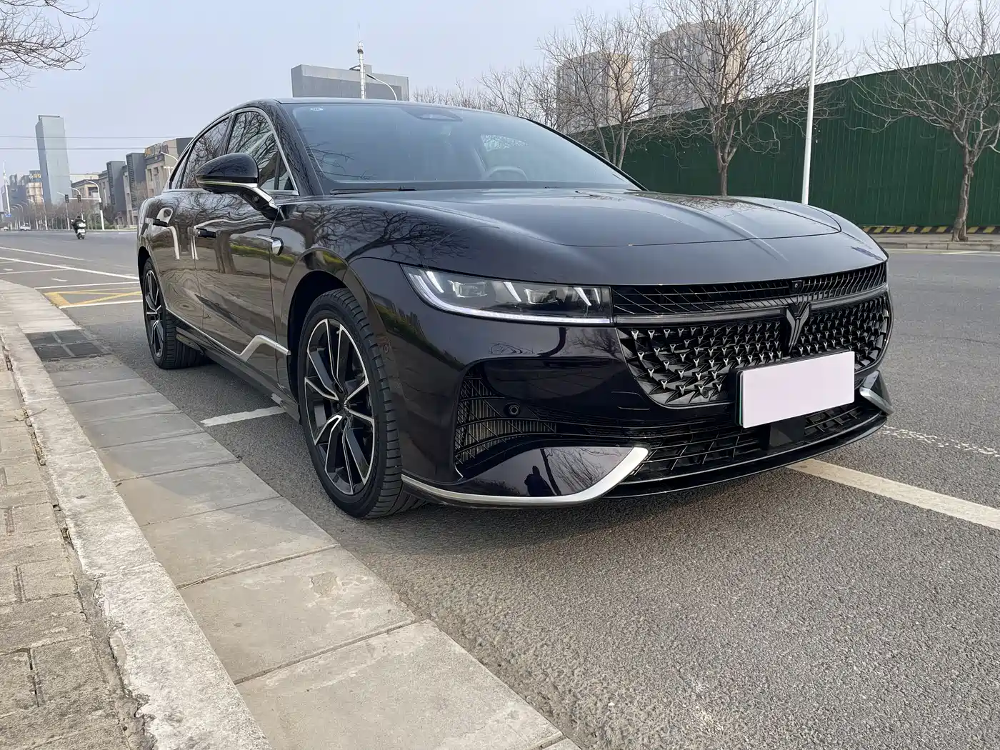 Voyah Auto VOYAH Zhuiguang 2024 PHEV AWD Ultra Long Range Flagship фото 3
