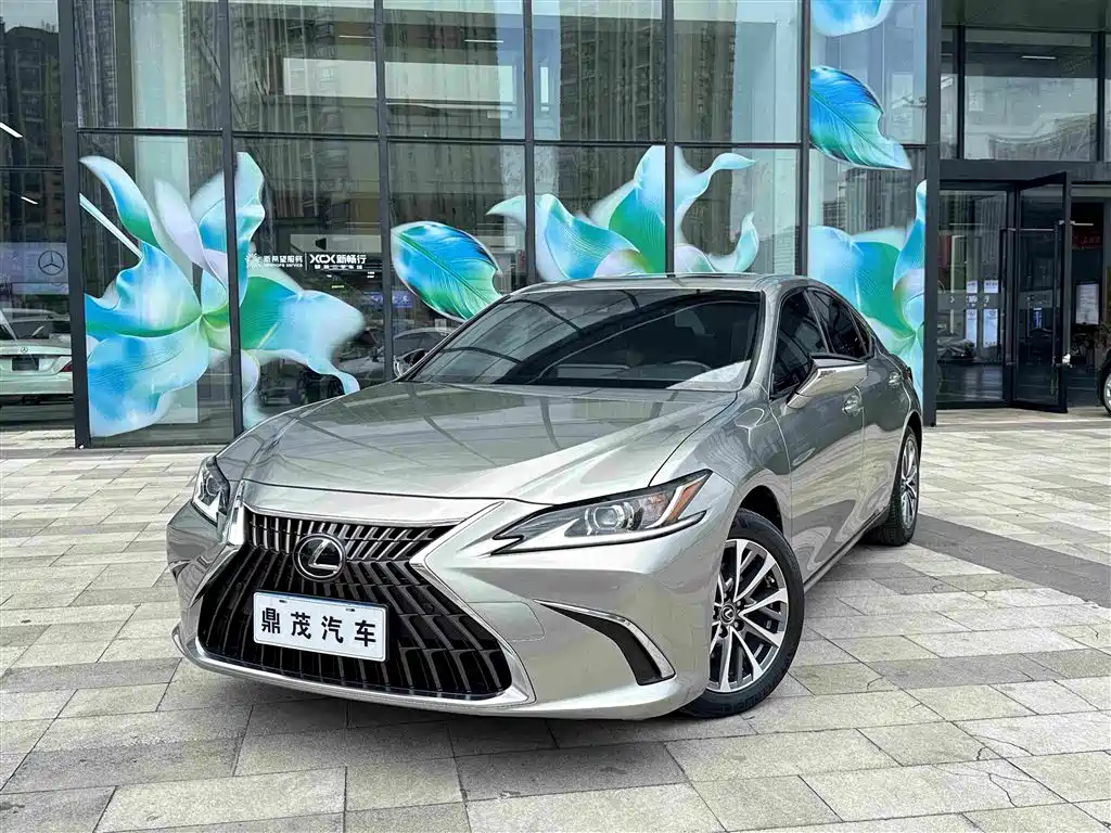 Lexus ES 2021 260 Excellence Edition