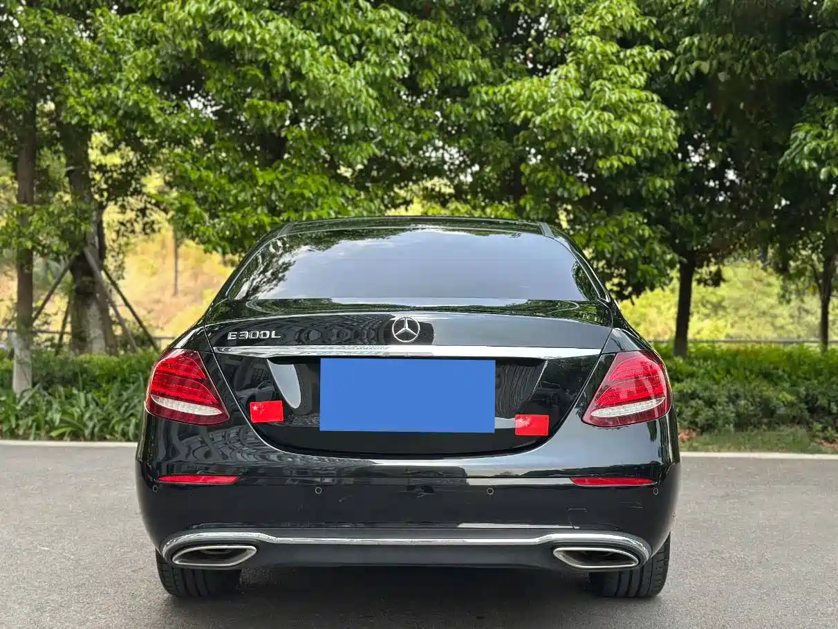 Mercedes-Benz E-Class 2019 E 300 L Fashion фото 5