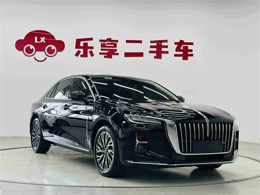 Hongqi H5 2025 2.0T Automatic Flag Celebration 500,000 Units Anniversary Edition фото 7
