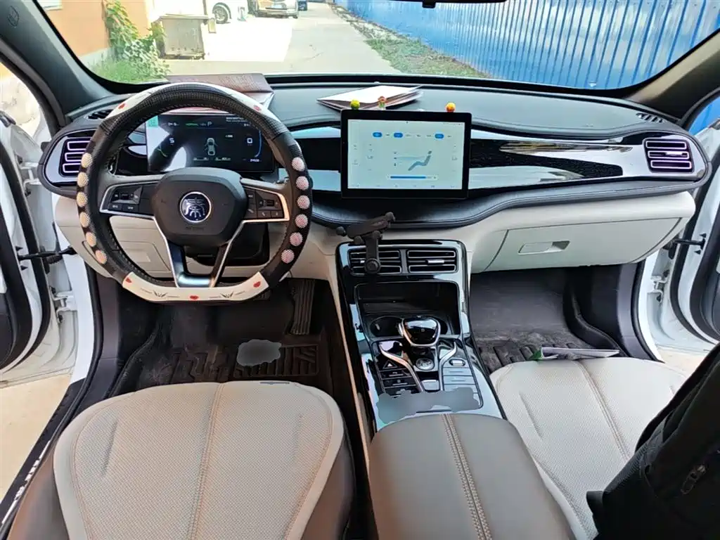BYD Qin PLUS 2024 Glory Edition DM-i 55KM Leading фото 10