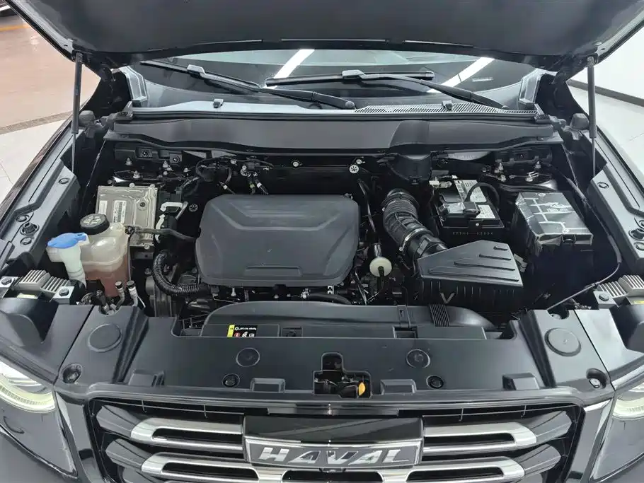 Haval Big Dog 2022 1.5T DCT FWD Border Collie Edition фото 10
