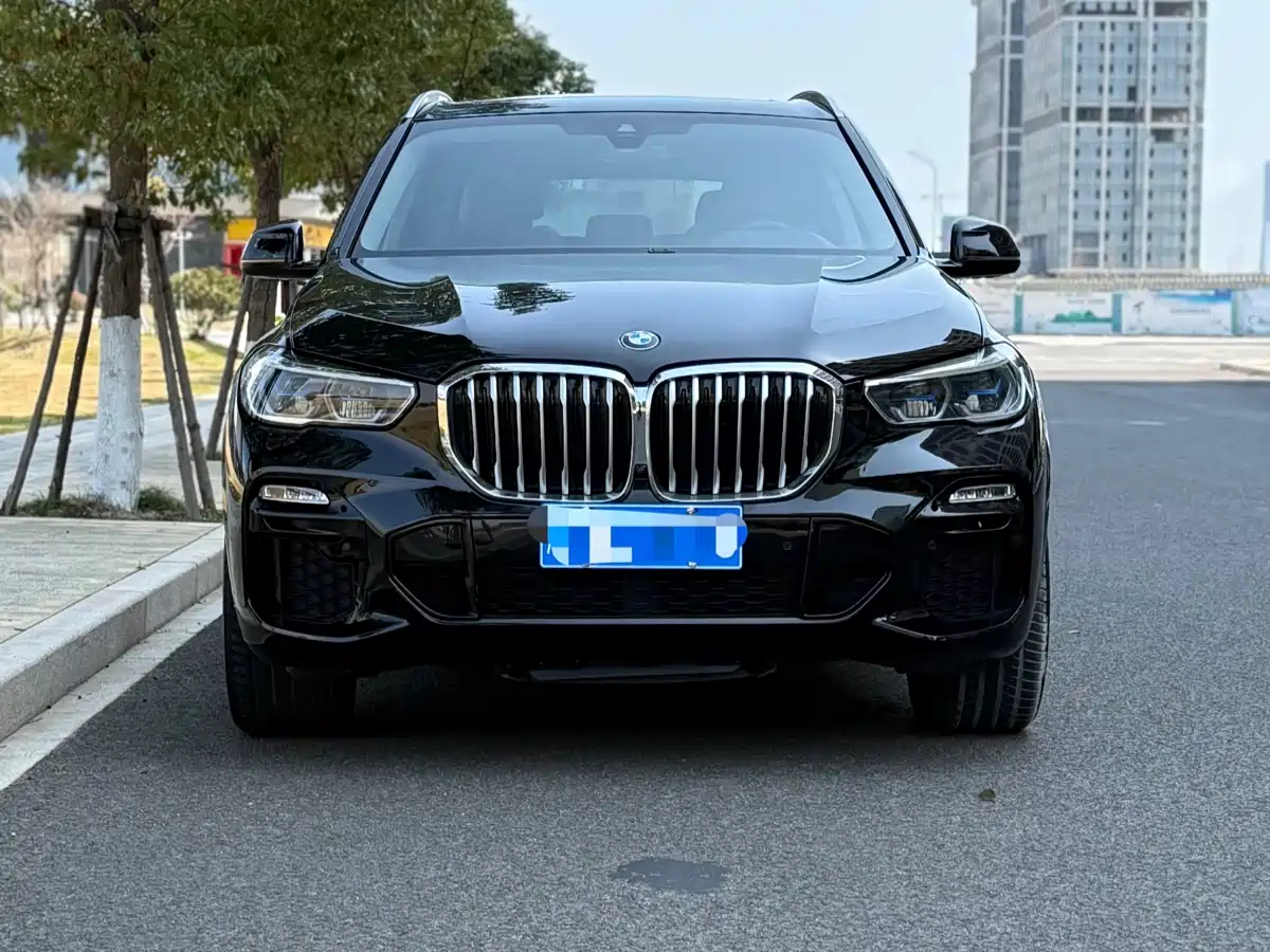 BMW X5 (Import) 2020 xDrive40i M Sport Package фото 2