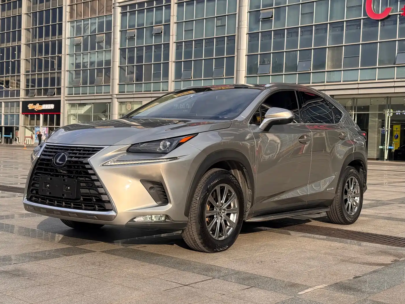 Lexus NX 2020 300 AWD F Sport China V