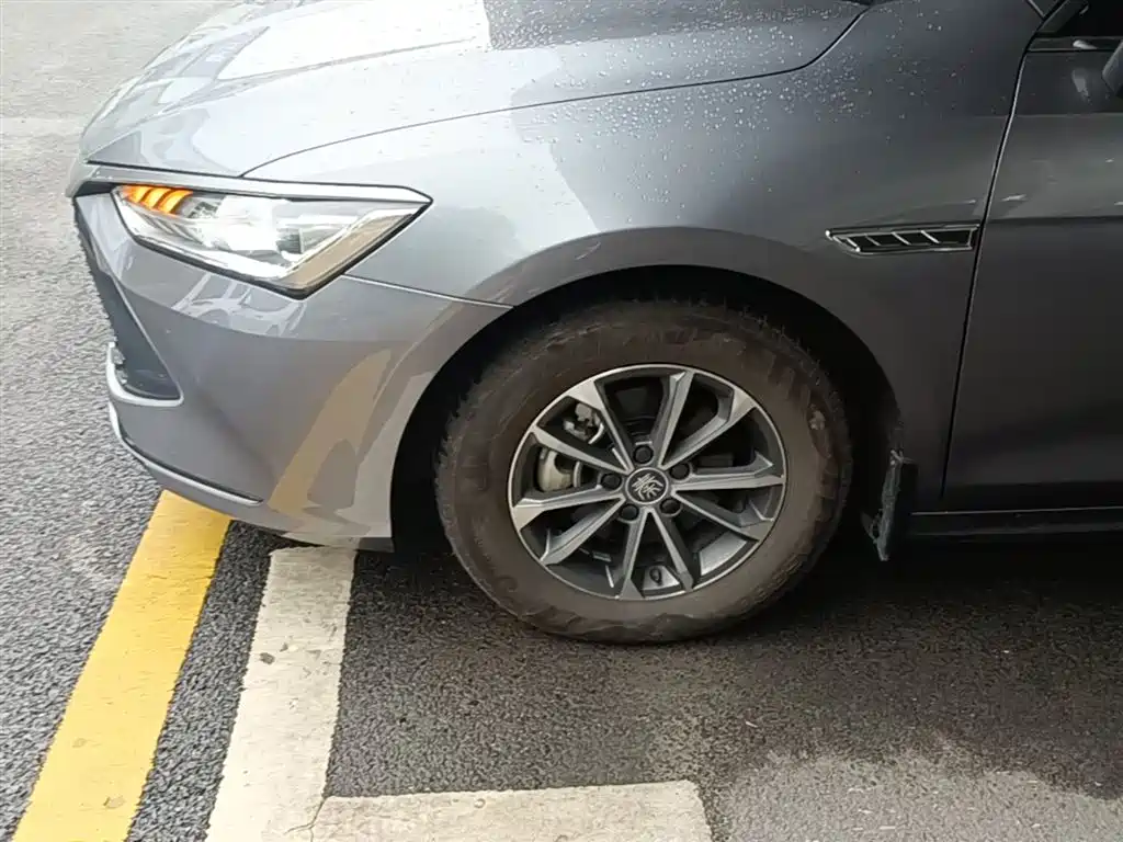 BYD Qin PLUS 2024 Glory Edition DM-i 55KM Leading фото 23