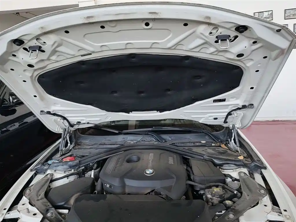 BMW 4 Series 2016 420i Convertible Fashion Line фото 20