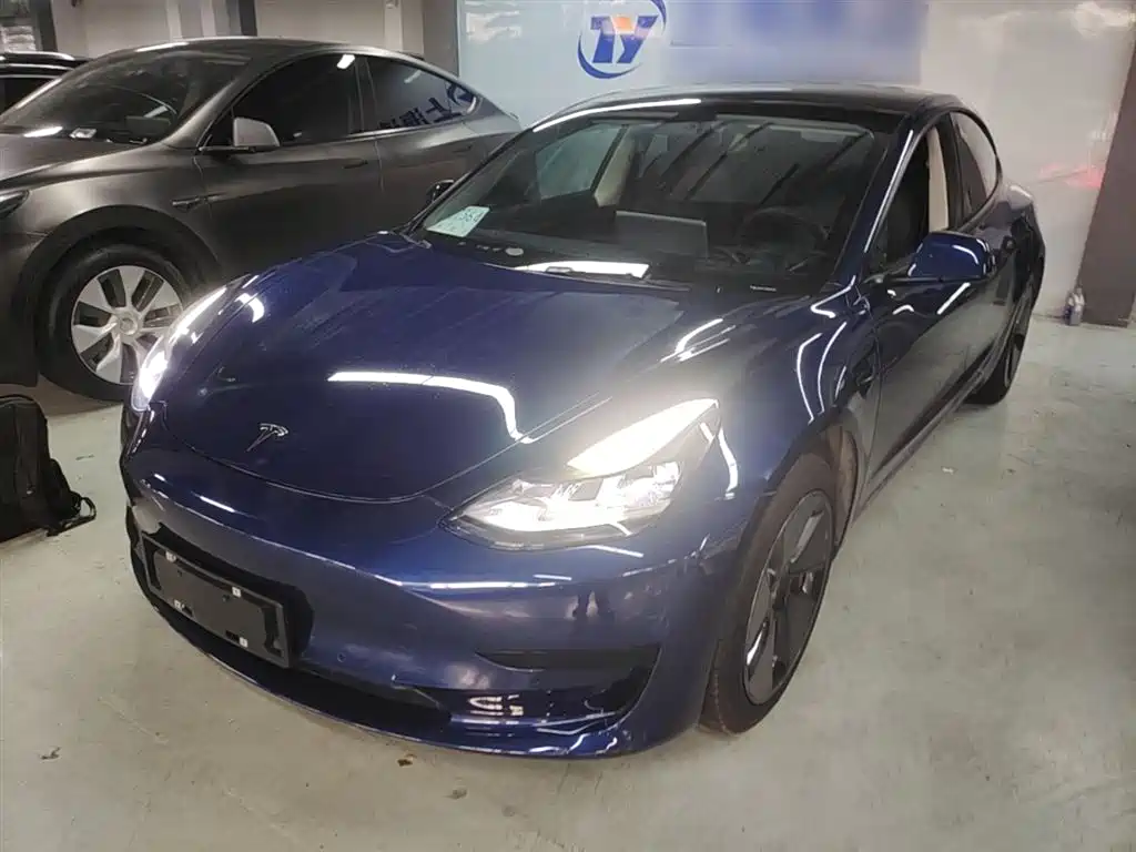 Tesla Model 3 2021 Standard Range Rear-Wheel Drive Upgrade 3D6