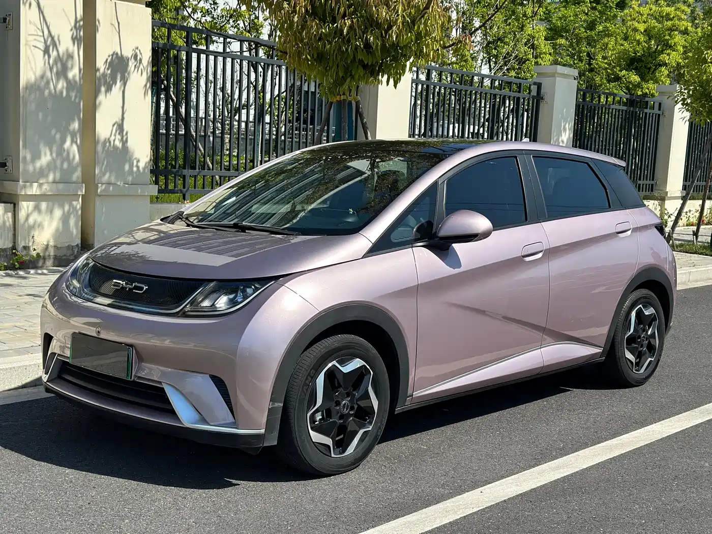BYD Dolphin 2021 405km Freedom Edition